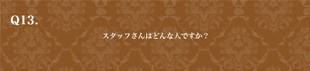 質問13　PCバージョン